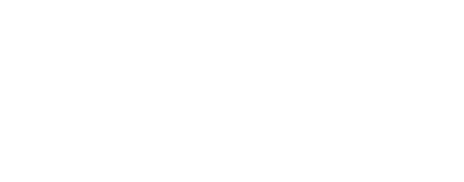 BRIDGECOM SERIES